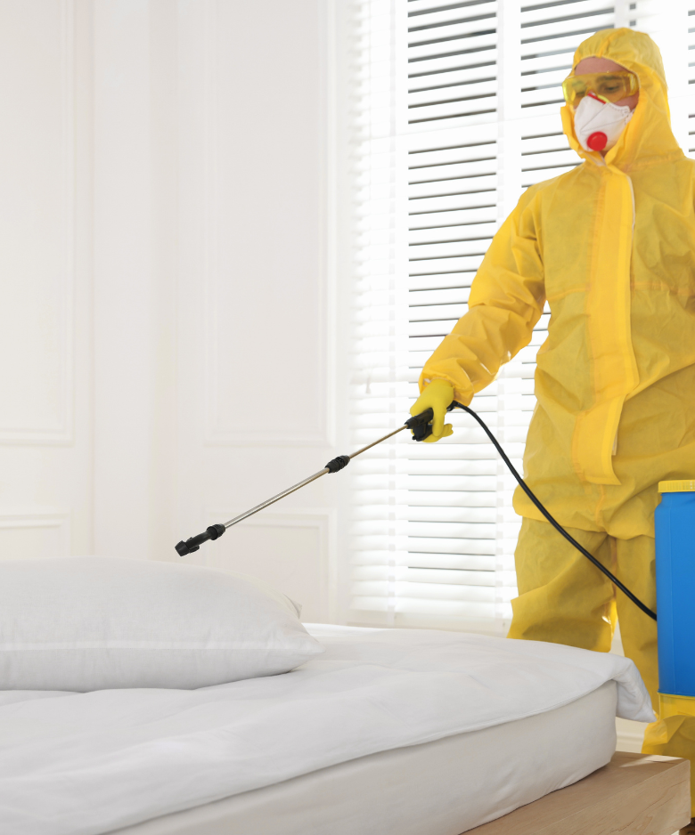 Professional Pest Control Team in Medindie Gardens